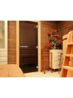 дверь "эталон лайт" (бронза) 200х80, 8 мм, 3 петли, коробка ольха, банный эксперт